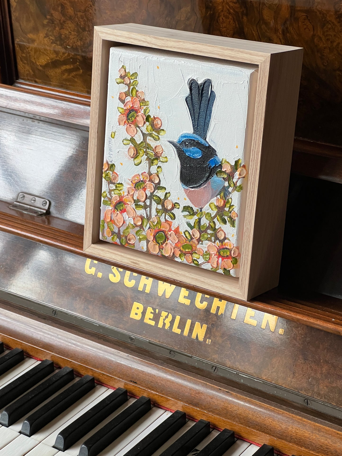 Fairy wren in the teatree