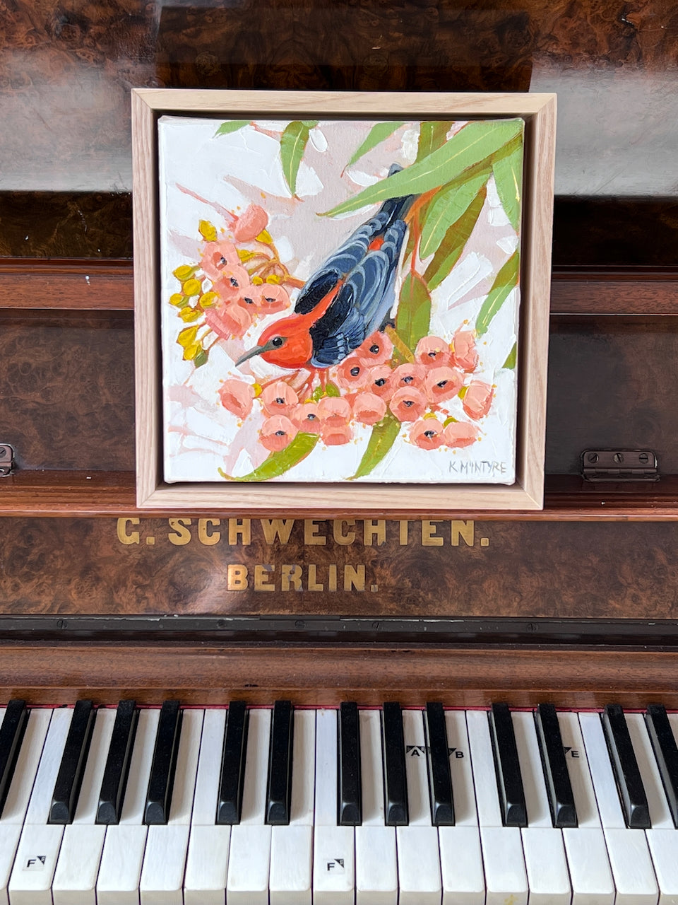 Scarlet honeyeater with pink blossom