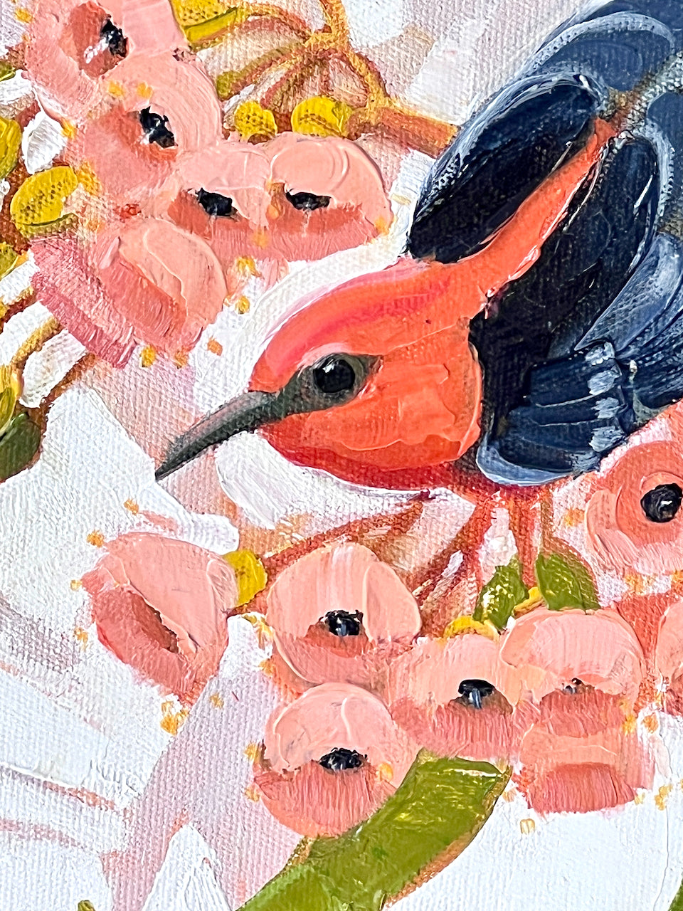 Scarlet honeyeater with pink blossom