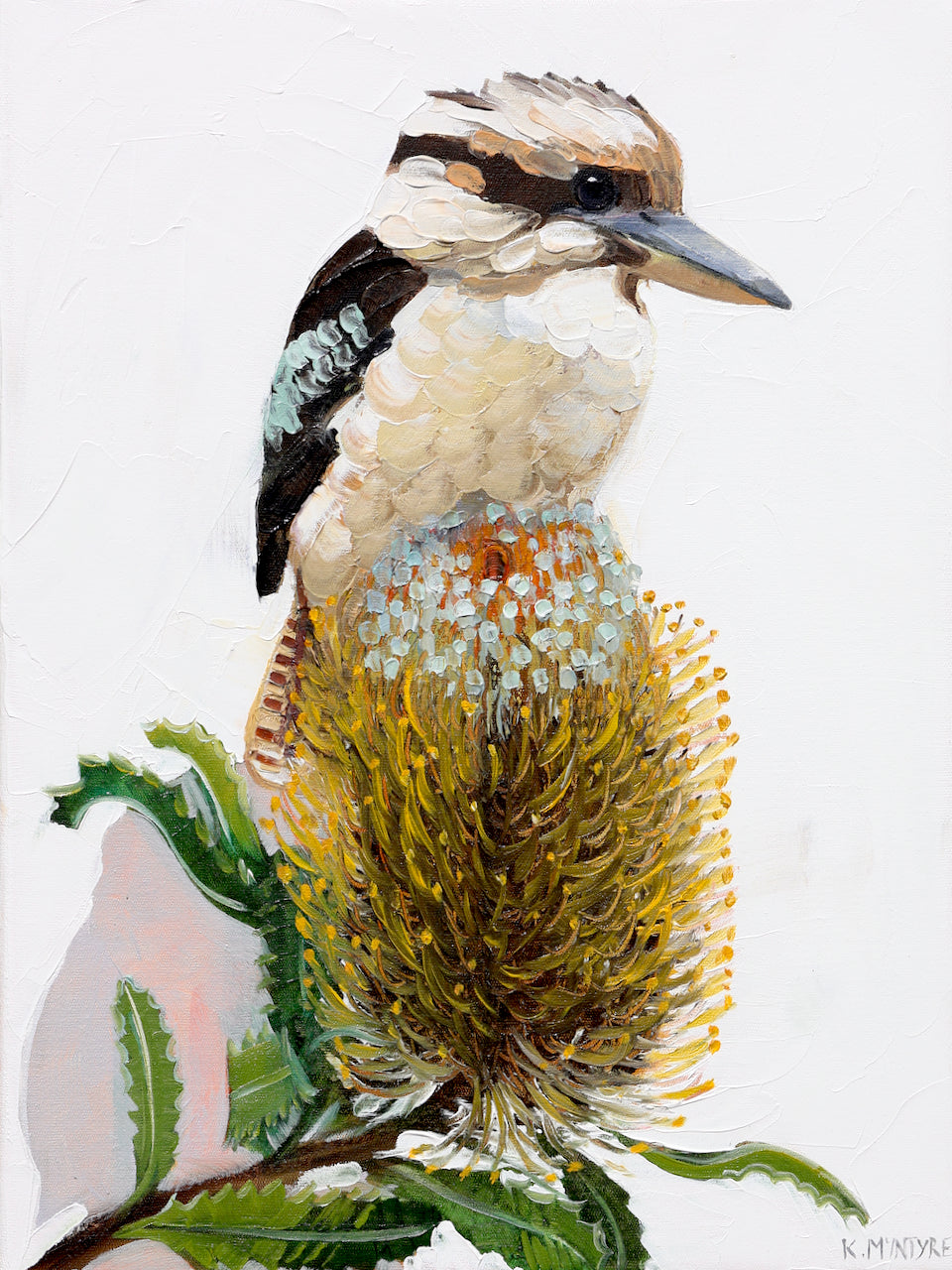 Illustration of a kookaburra perched on a branch with a white background; available as a giclee print or reproduction iof an original design by Australian artist, Kirsty McIntyre