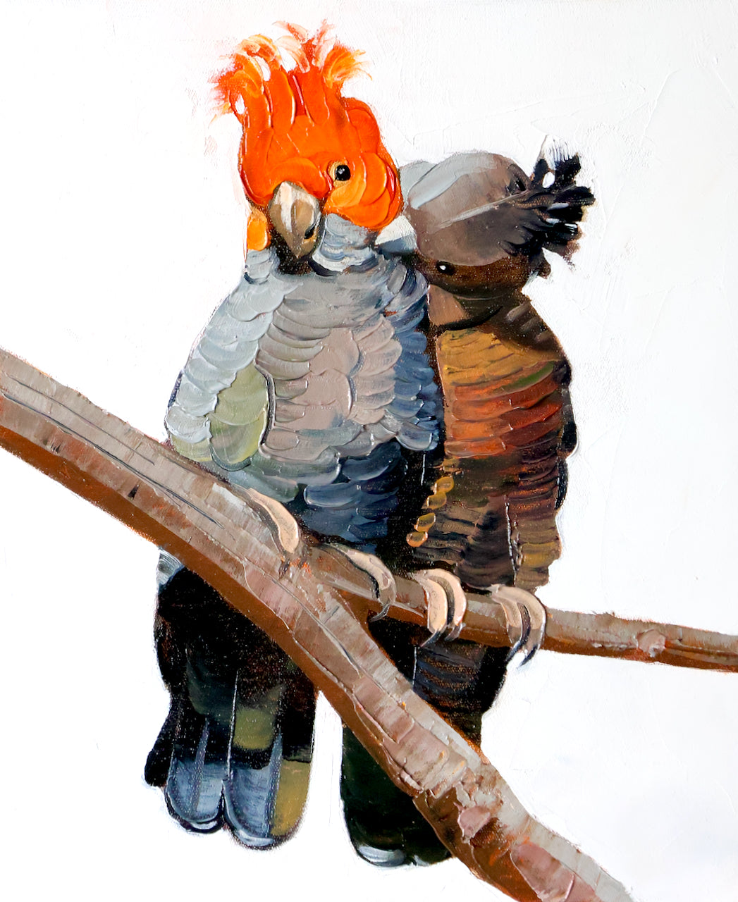 Two parrots - Australian gang gang cockatoos perched on a branch with a white background- original artowrk by artist, Kirsty McIntyre