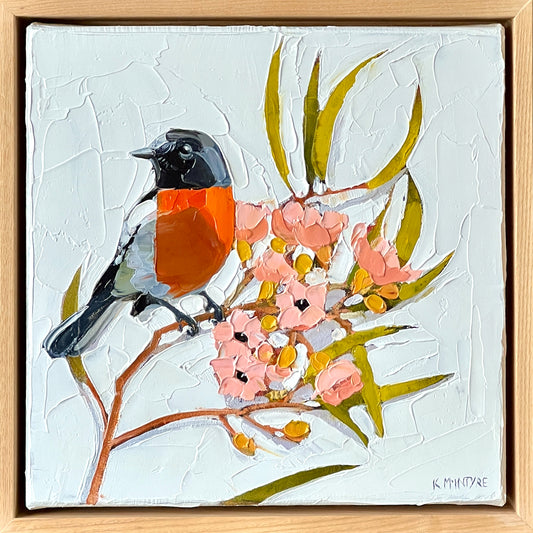 Red breast, pink blossom