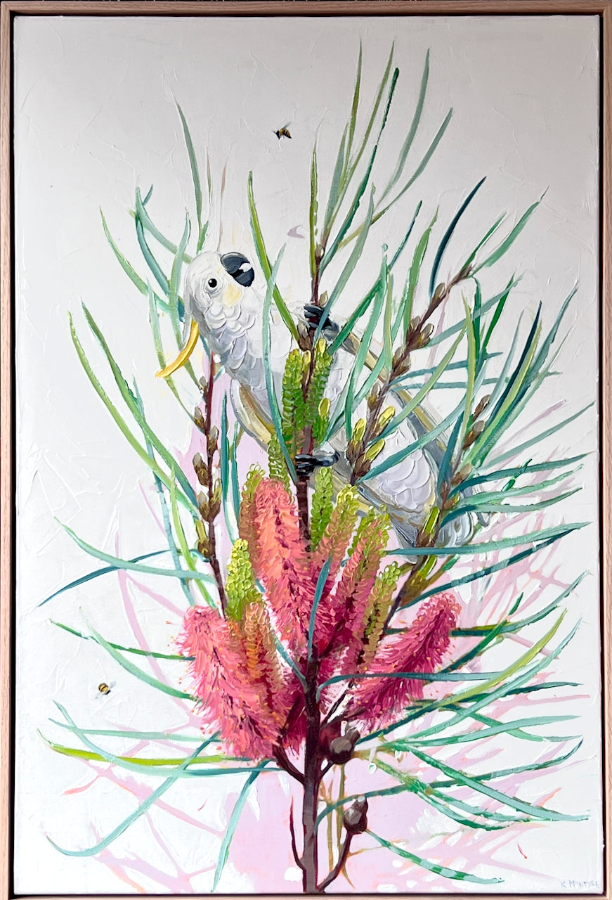 Artistic depiction of a bird perched on a branch with pink flowers against a light background Australian cockatoo and hakea by Kirsty McIntyre australian artist