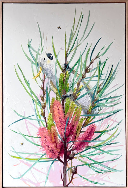 Artistic depiction of a bird perched on a branch with pink flowers against a light background Australian cockatoo and hakea by Kirsty McIntyre australian artist