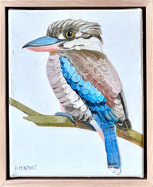 portrait of a blue winged kookaburra in oil paint by Kirsty Mcintyre AQustralian artist