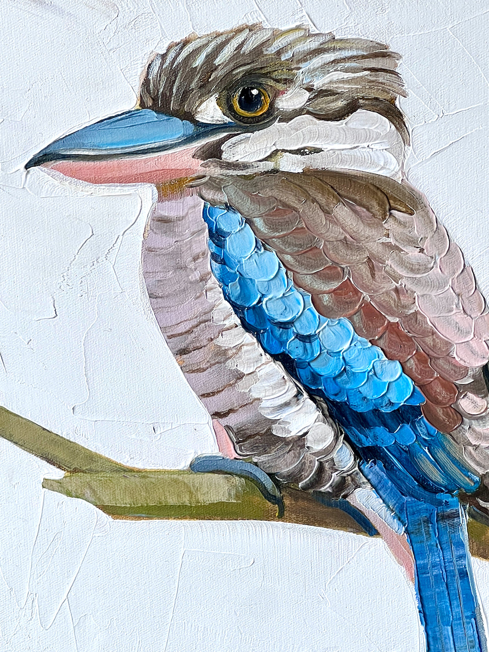 Blue winged kookaburra II