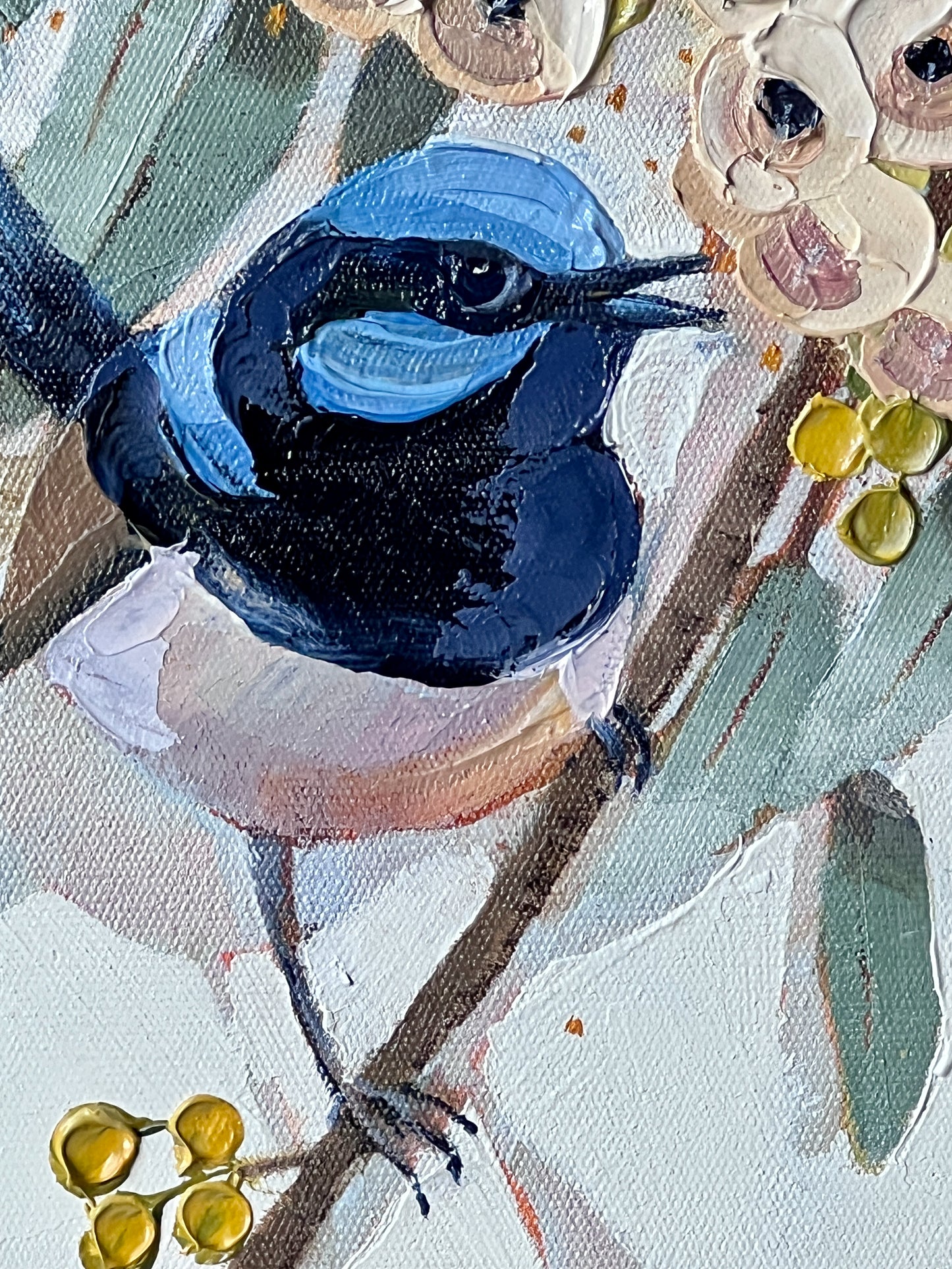 Superb blue wren with white gum blossom (reserved for Fiona)