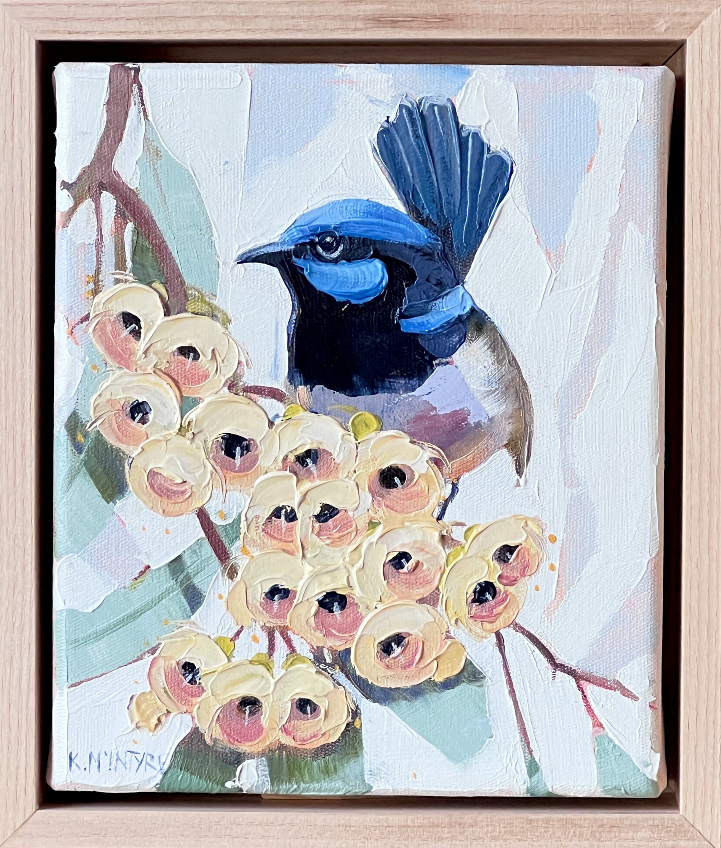 Fairy wren in the gum blossom