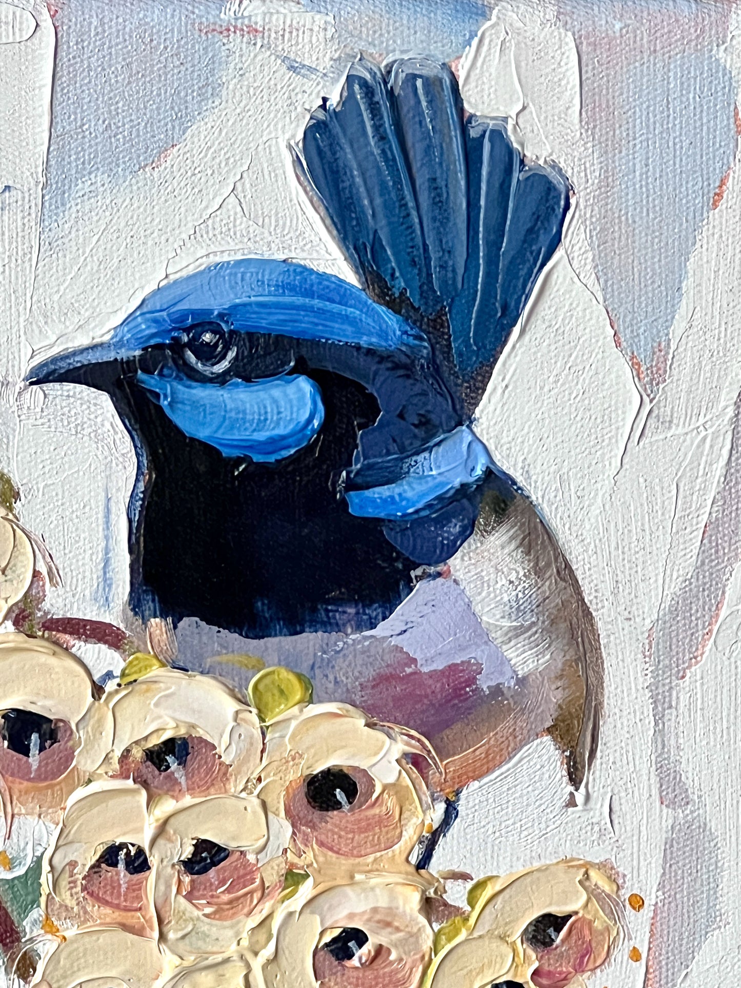 Fairy wren in the gum blossom