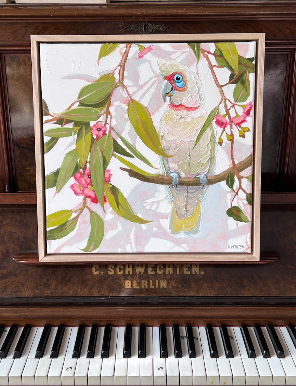 Corella in pink