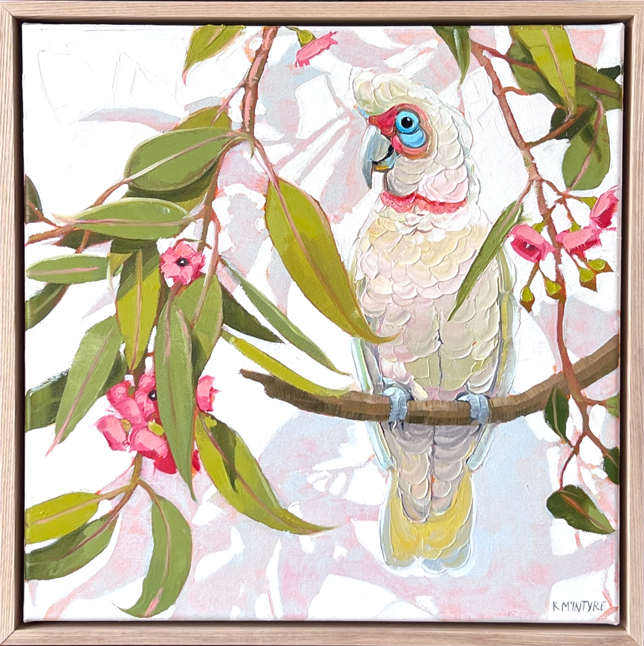 Corella in pink