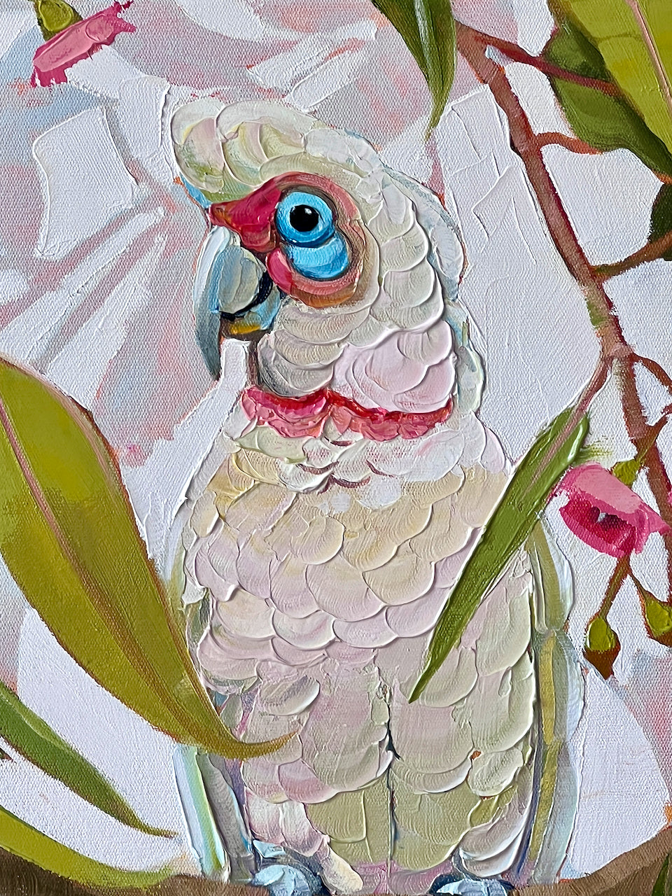 Corella in pink