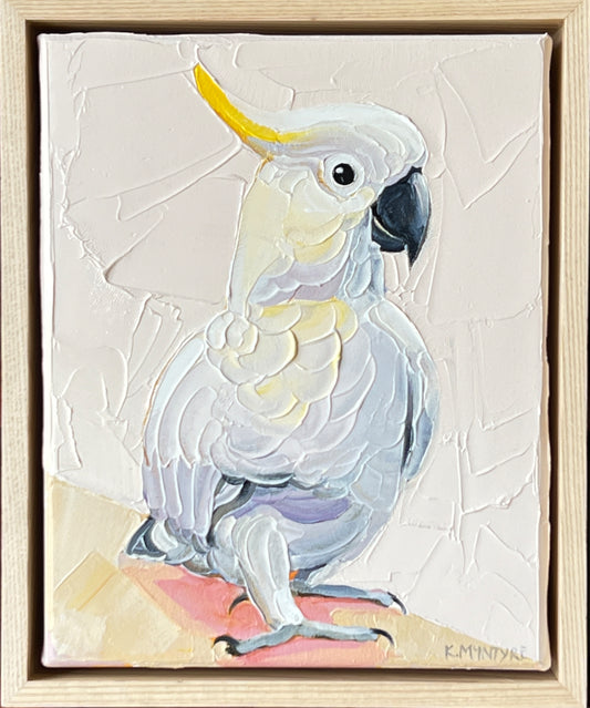 Happy Cocky