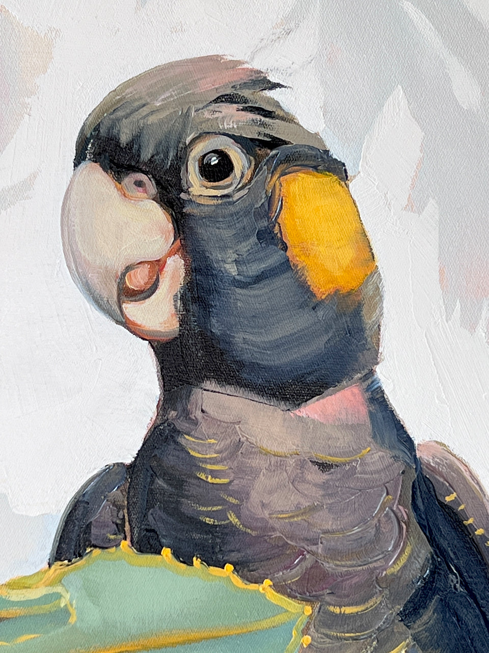 Yellow tailed cocky