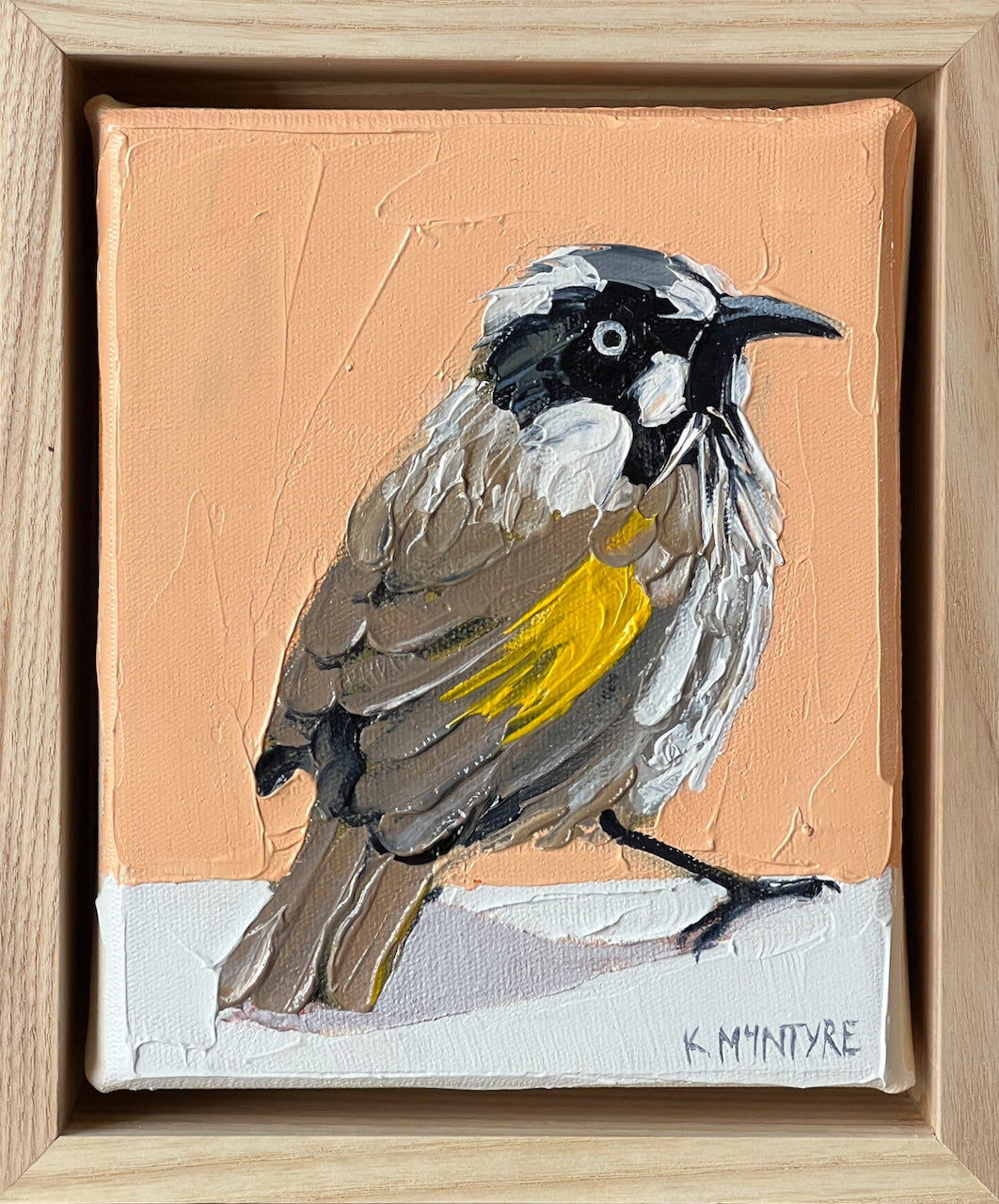 original oil painting of a small bird new holland honeyeater australian by artist kirsty mcintyre