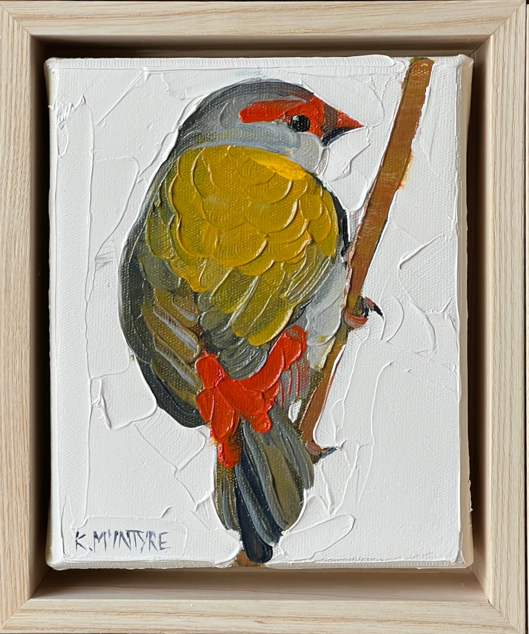 original artwork oil painting featuring a red browed finch australian bird by Kirsty McIntyre artist
