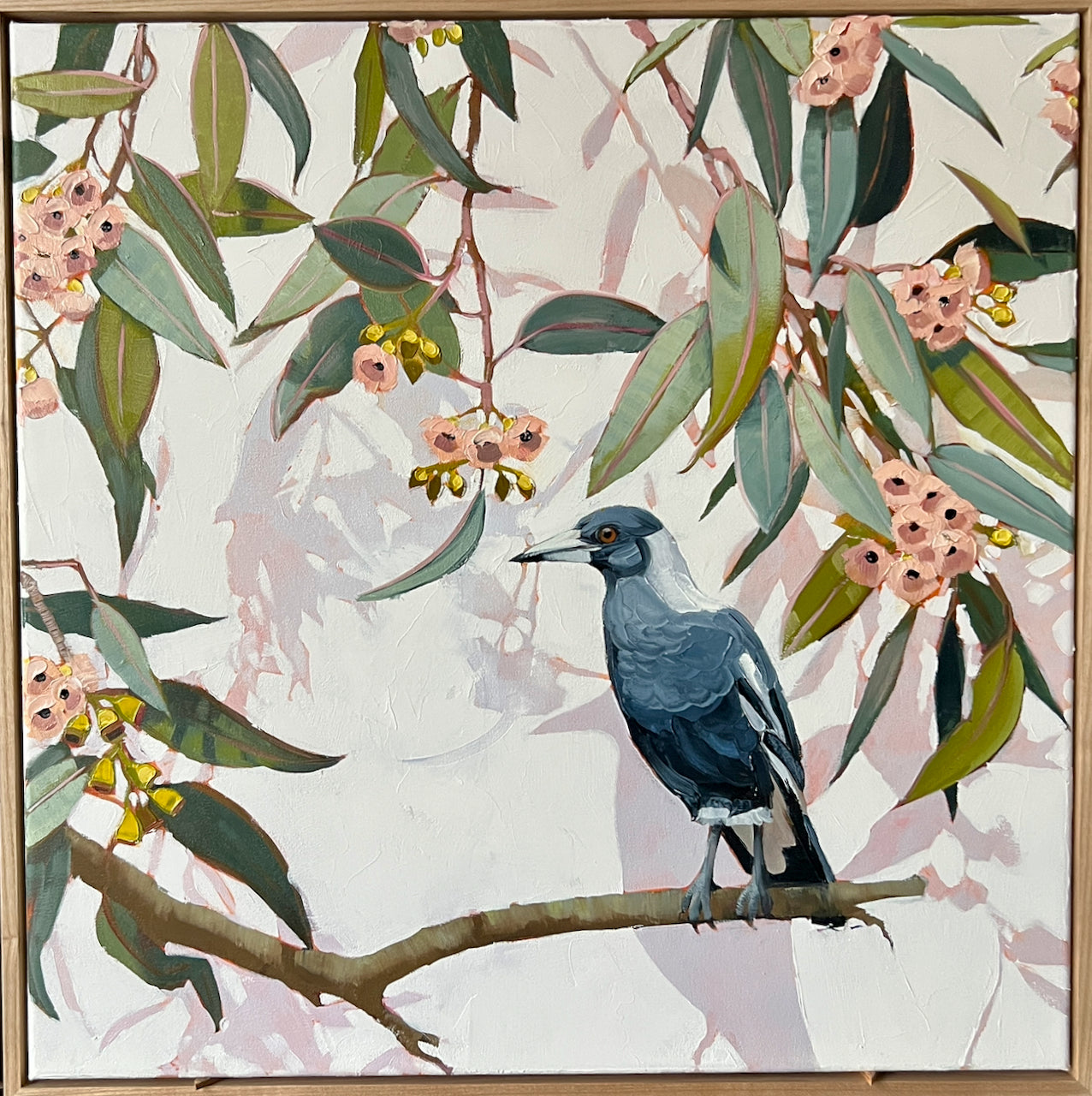 Gum blossom Magpie
