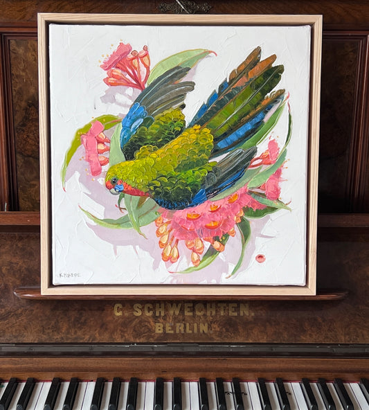 Peace rosella