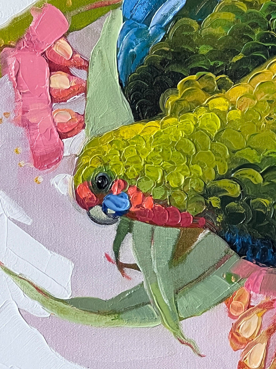 Peace rosella