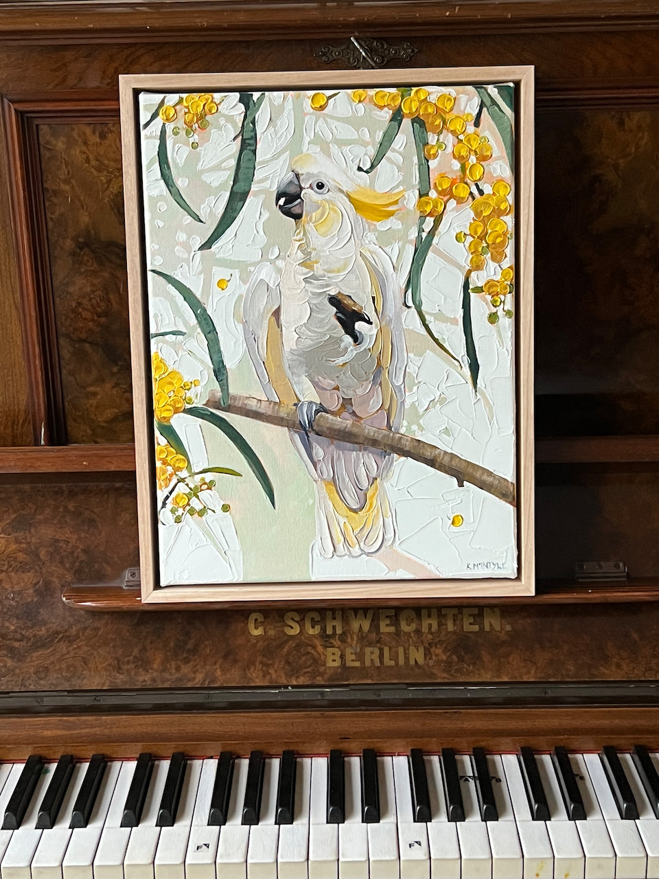 Cocky in the wattle tree (Reserved for Andrew)