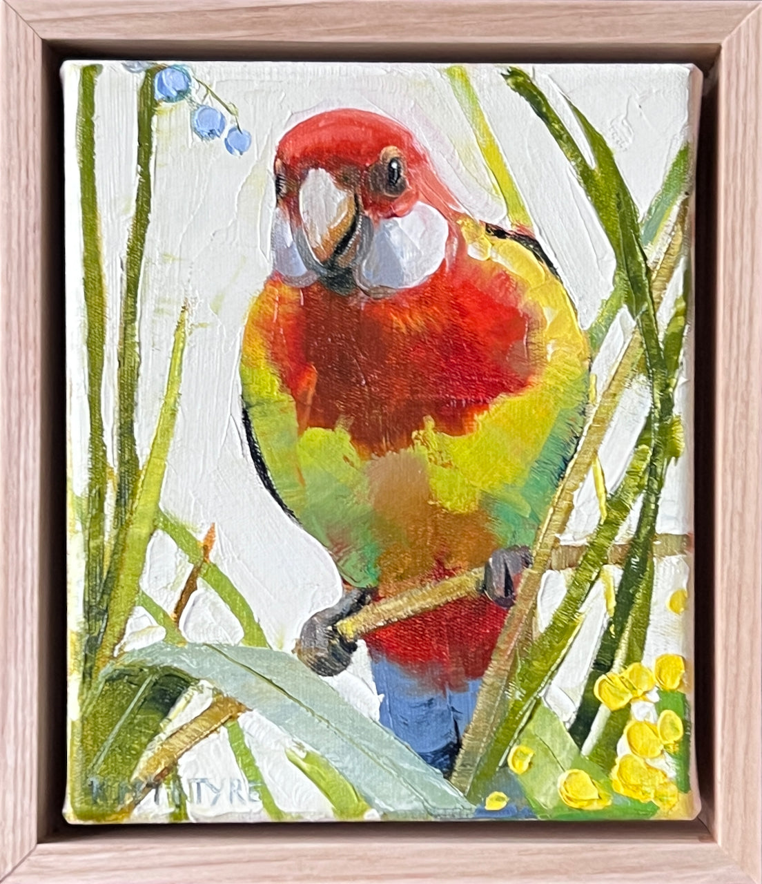 eastern rosella original artwork by australian artist, kirsty mcintyre