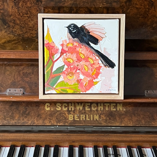 Willy wagtail with pink blossom
