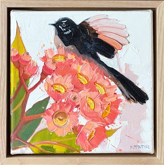 Willy wagtail with pink blossom