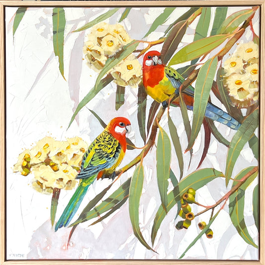 Eastern rosella couple with blossom