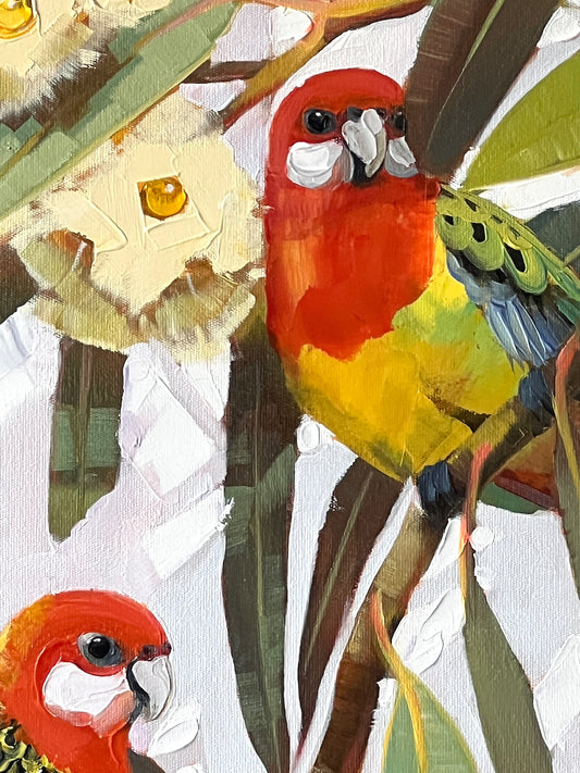 Eastern rosella couple with blossom