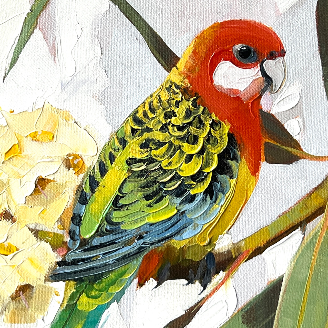 Eastern rosella couple with blossom