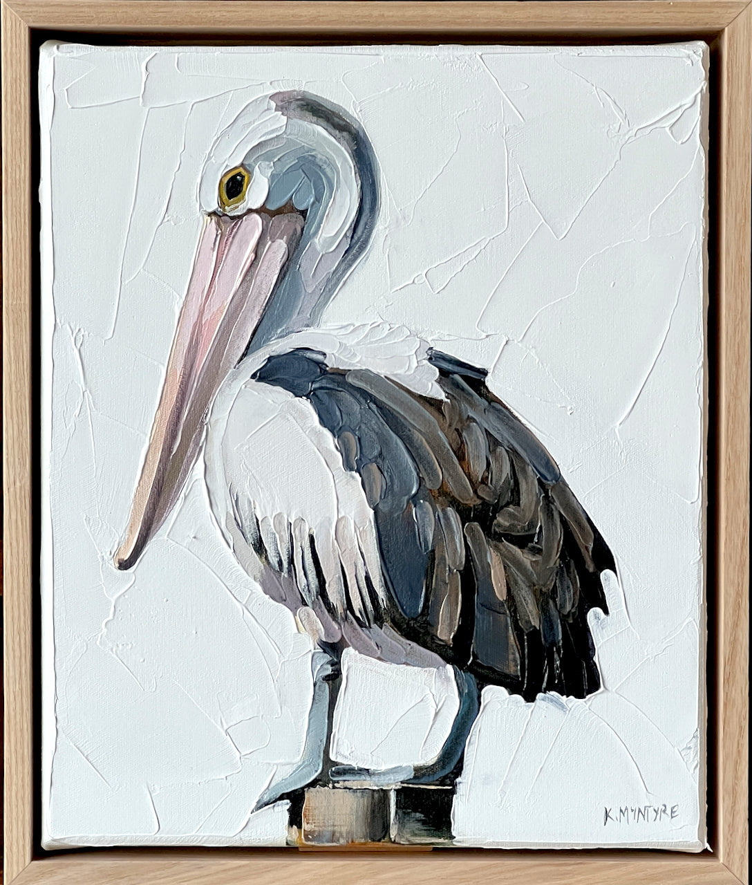 Pelican portrait