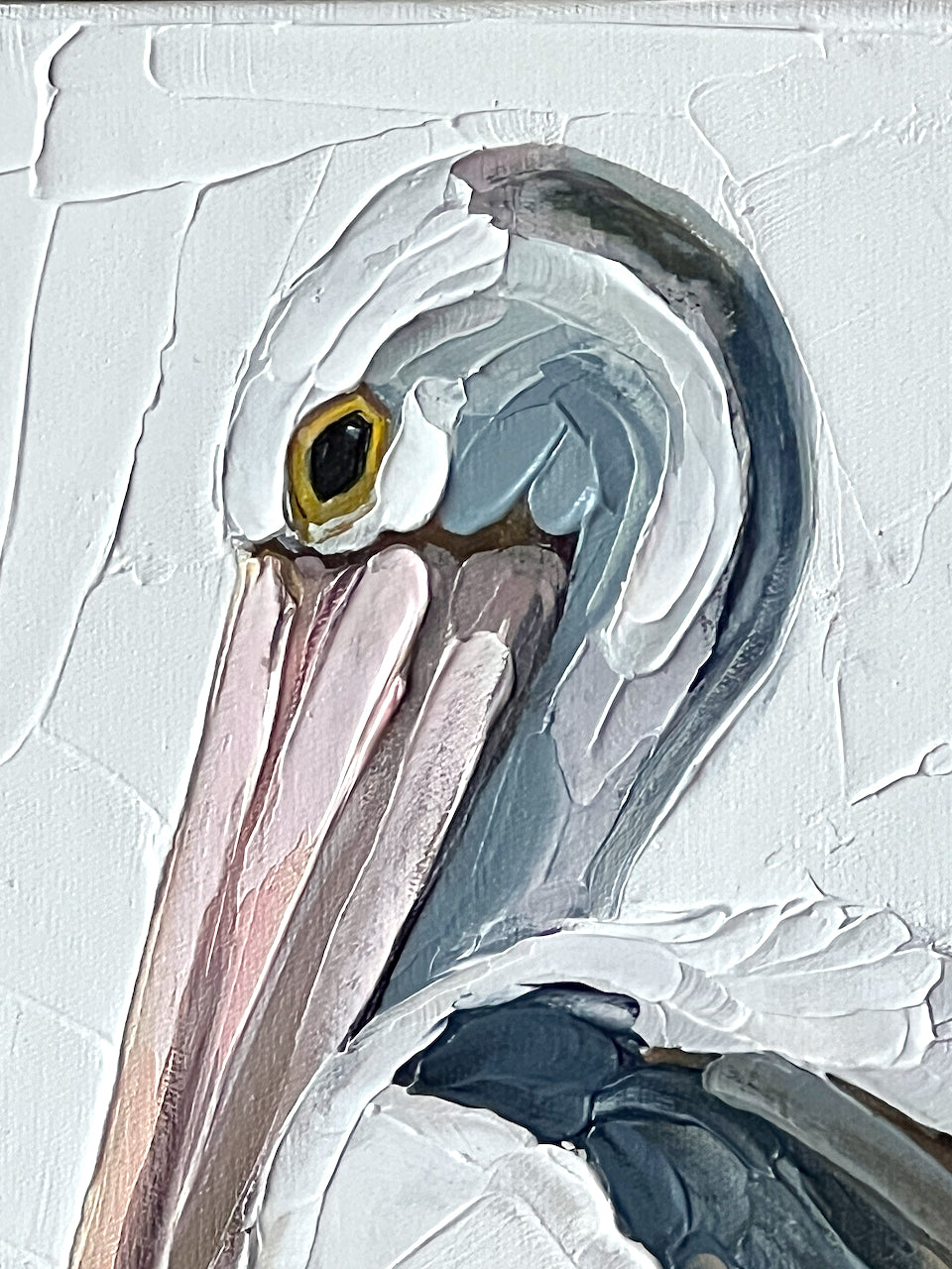 Pelican portrait