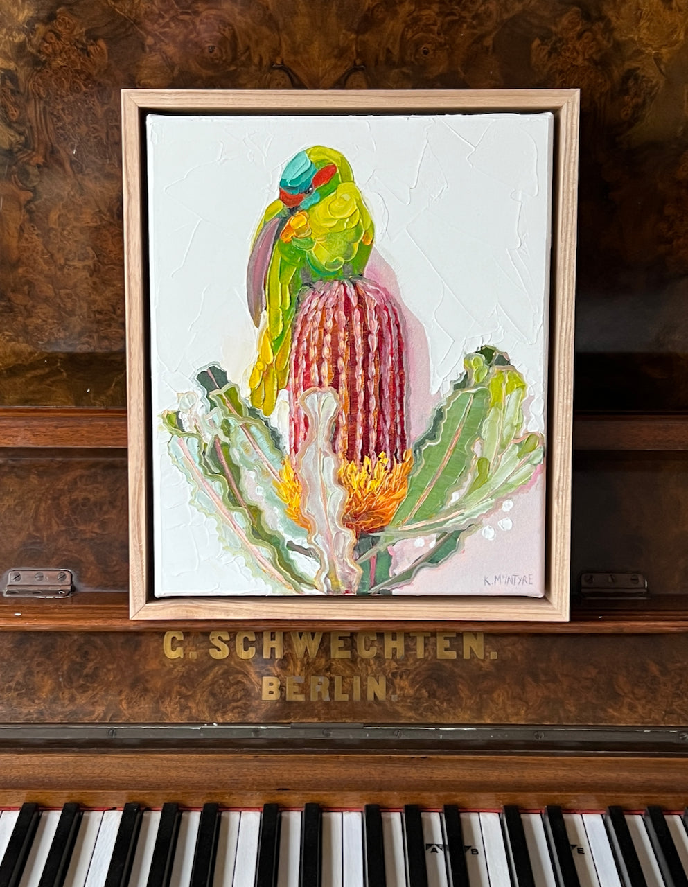 Musk lorikeet with banksia