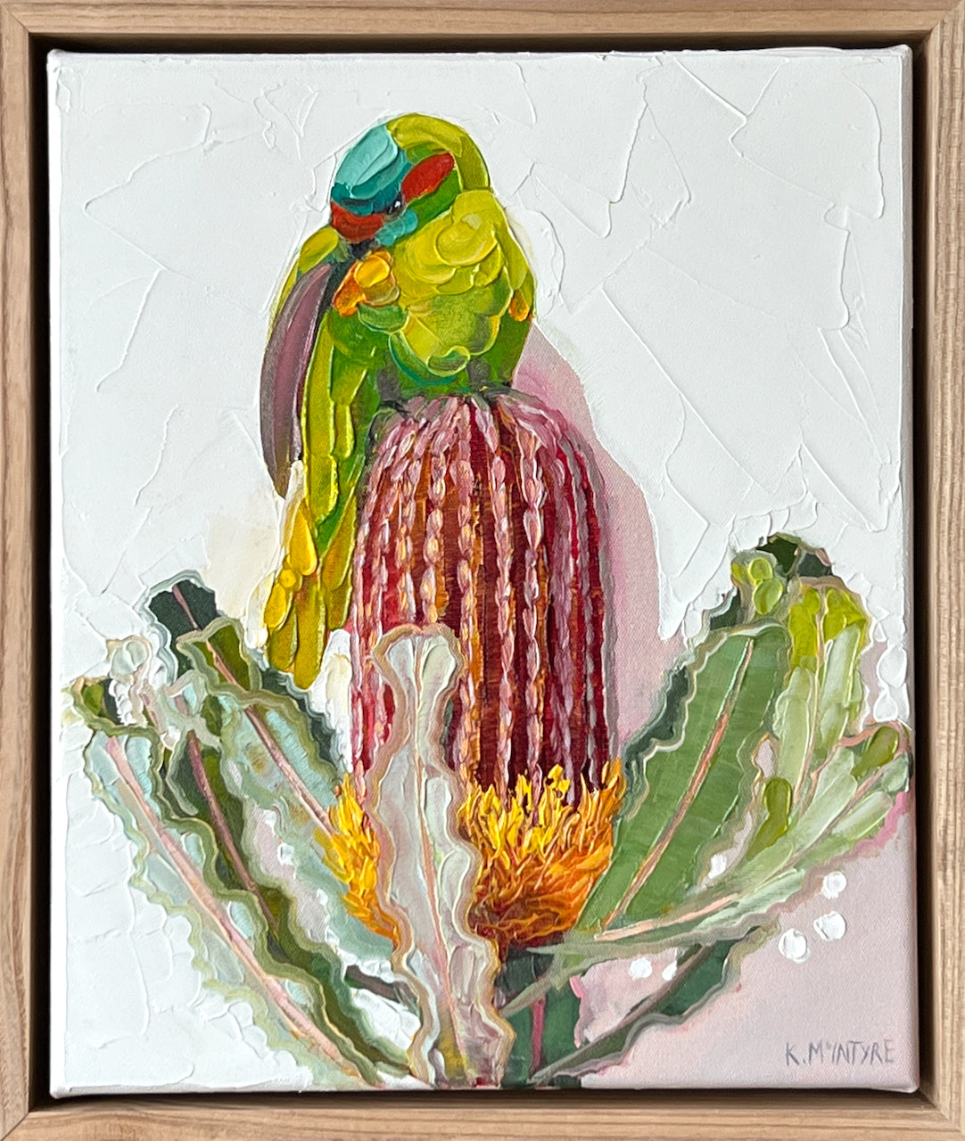 Musk lorikeet with banksia