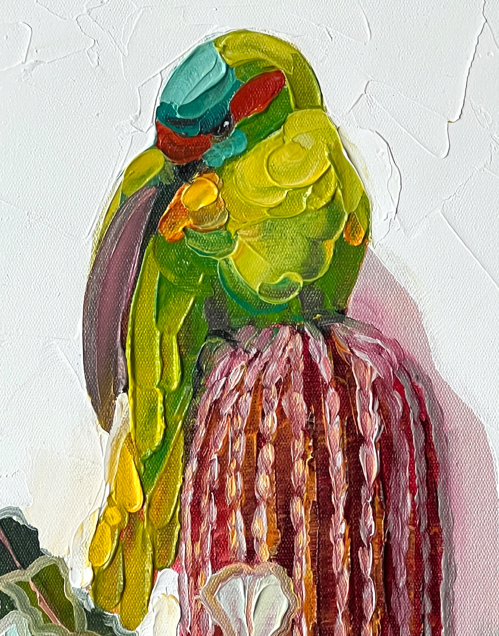 Musk lorikeet with banksia