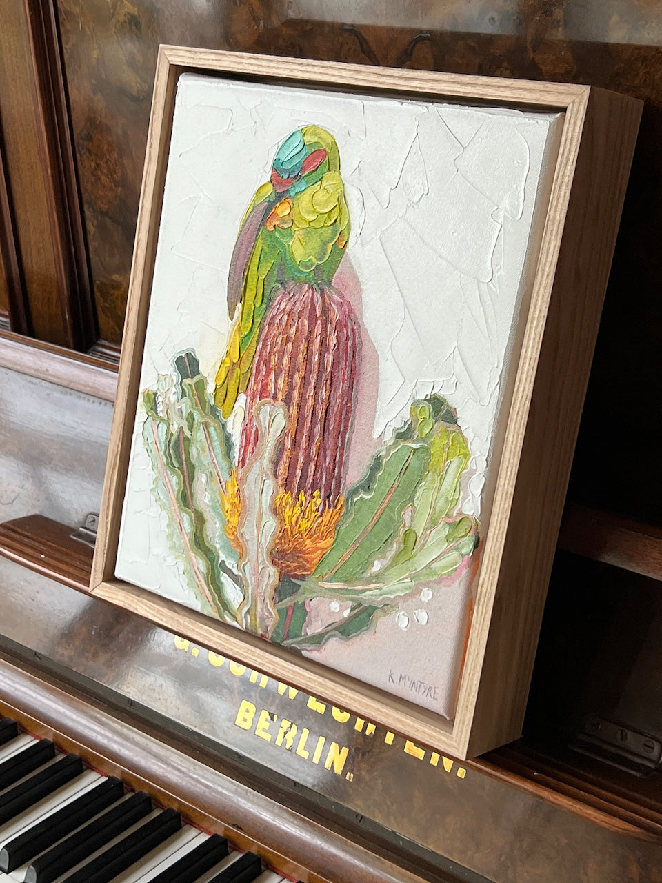 Musk lorikeet with banksia