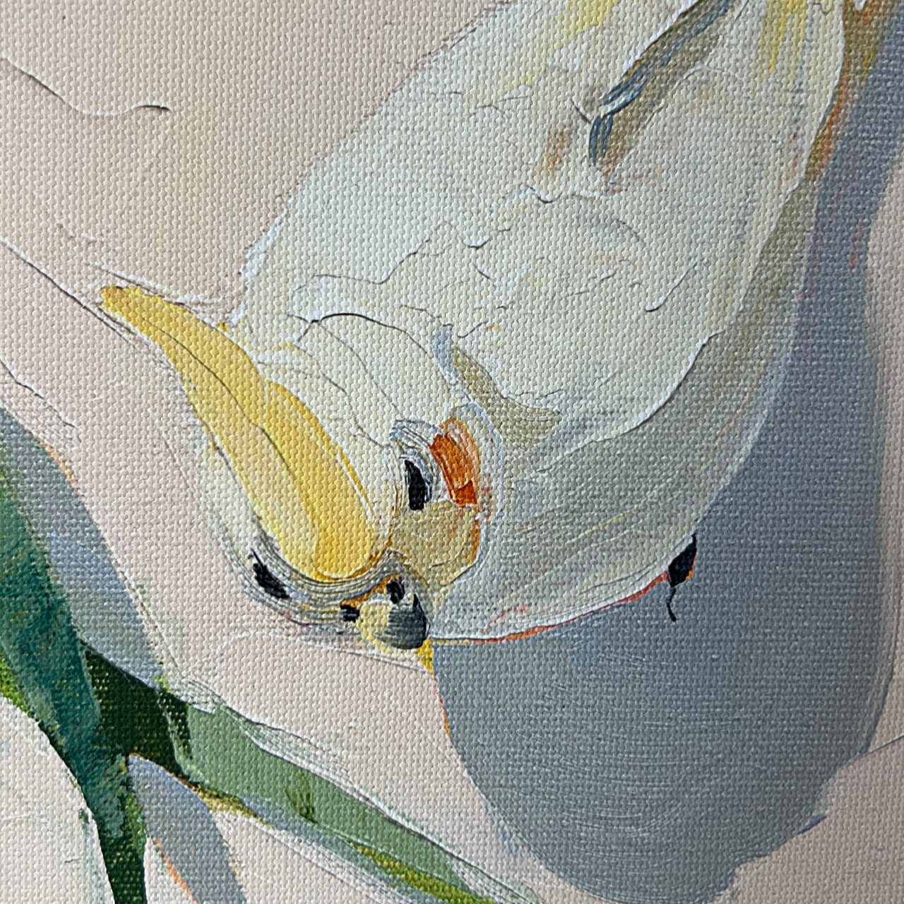 Apples, wattle and cockatiels; Framed canvas print (one of a kind)