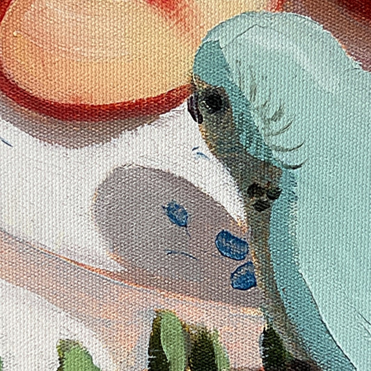 Budgies and spinning gum; Framed canvas print (one of a kind)