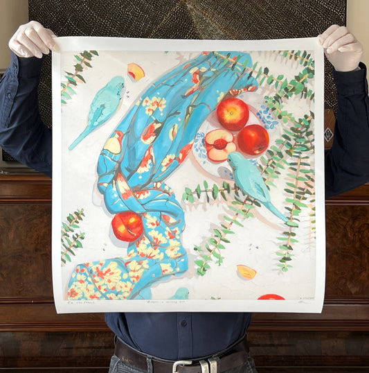 Budgies and spinning gum- Giclee print limited edition of 20 available in two sizes