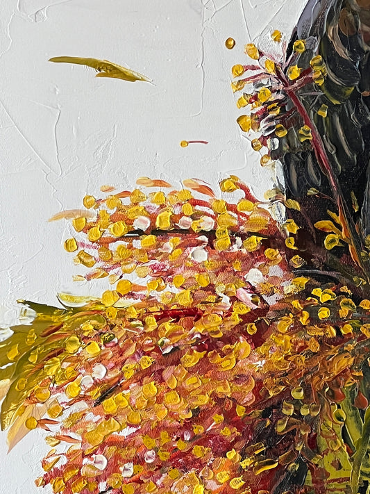 Yellow tailed cocky in the silky oak