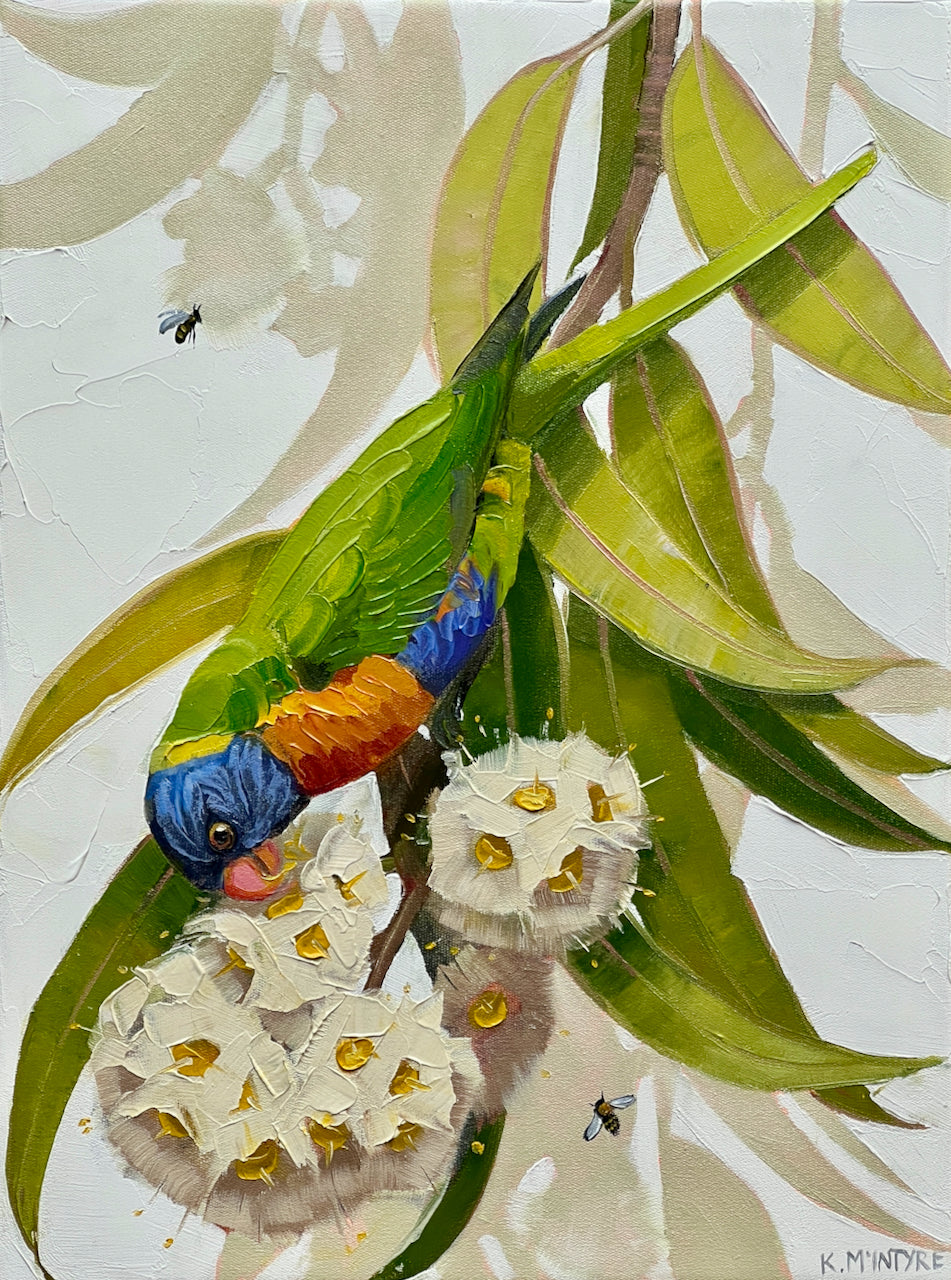 Rainbow lorikeet with white gum