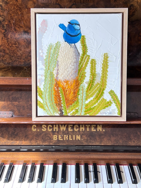 Splendid blue wren with banksia