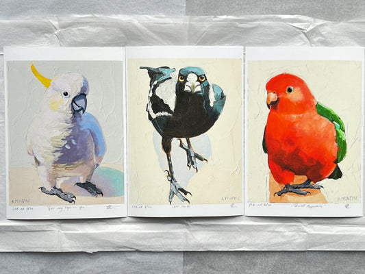 Individual bird portraits- Giclee prints limited edition of 20 each available